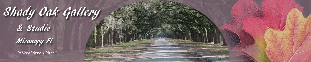 Shady Oak Gallery and Studio